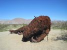 PICTURES/Borrego Springs Sculptures - Sloths & Bird of Prey/t_IMG_8823.JPG